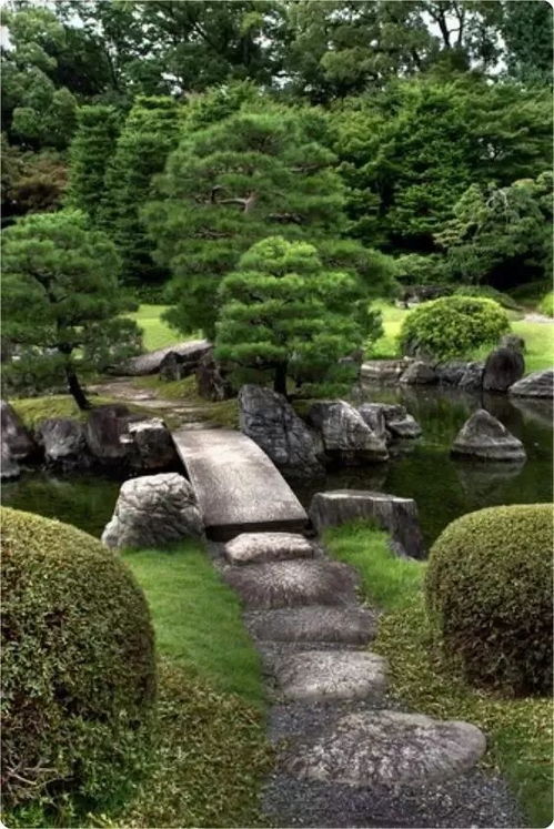 绿化植物设计 从施工养护到成本控制的实战干货
